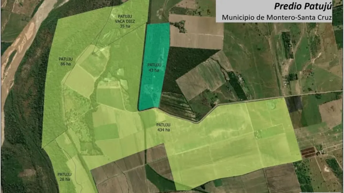 La verdad detrás de los avasallamientos: tierras en disputa, no propiedad privada
