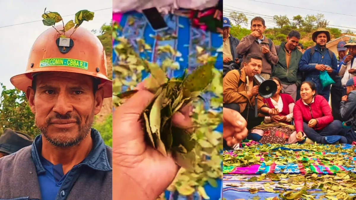 Acullicu en punto de  bloqueo de Pirque-Parotani comparten la hoja sagrada y exige abrogación  DS 5503