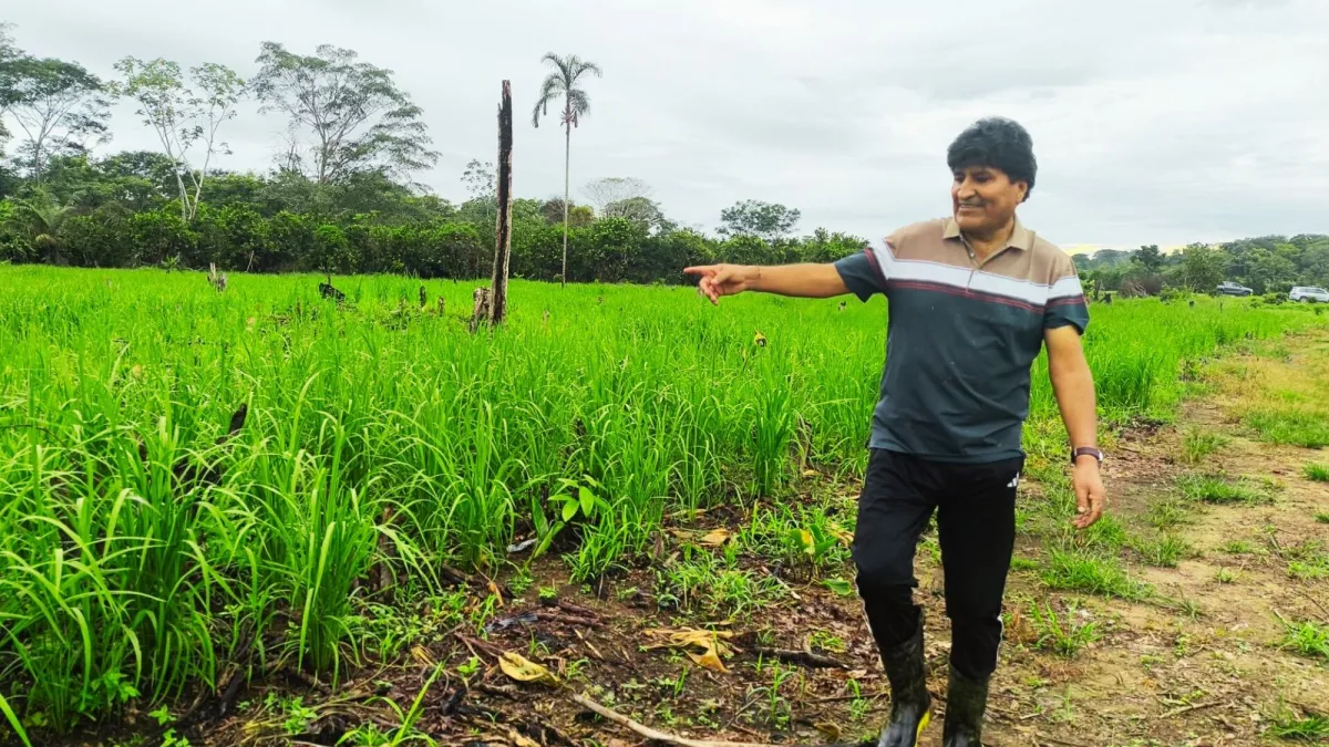 Seis Federaciones exigen reposo total a Morales por dengue