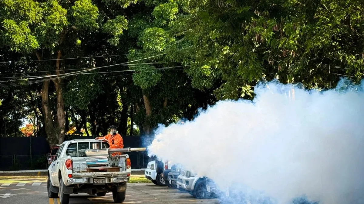 Chikunguña: Confirman casi 1.000 nuevos casos en la última semana